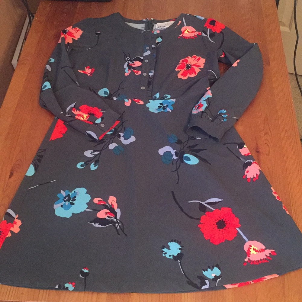 ⚡️SALE⚡️Petite Primavera Shirt Dress